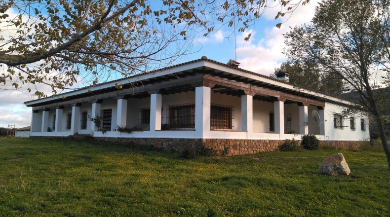 Ciudad Real - Puertollano - 650m2