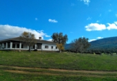 Finca rústica en venda a Puertollano ref.: TR266016 foto