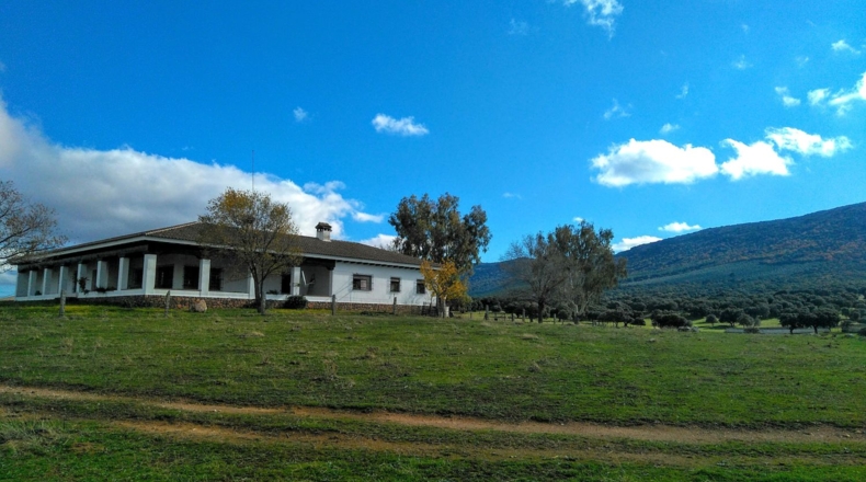 Ciudad Real - Puertollano - 650m2