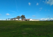 Finca rústica en venda a Puertollano ref.: TR266016 foto
