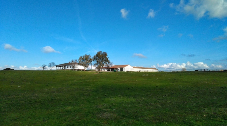 Ciudad Real - Puertollano - 650m2