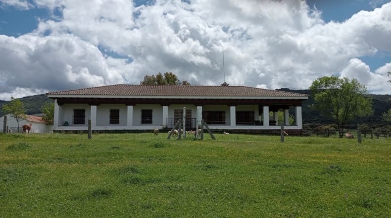 Ciudad Real - Puertollano - 650m2