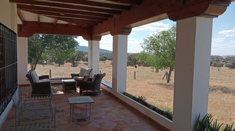 Ciudad Real - Puertollano - 650m2