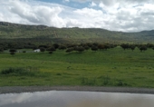 Finca rústica en venda a Puertollano ref.: TR266016 foto