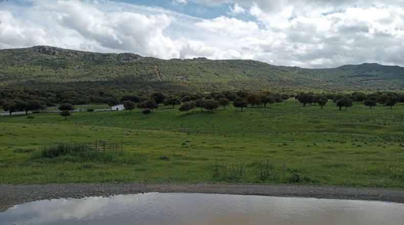 Ciudad Real - Puertollano - 650m2