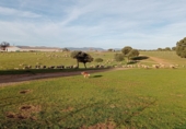 Finca rústica en venda a Puertollano ref.: TR266016 foto