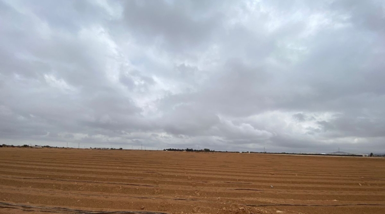 Murcia - Cartagena - 85000m2