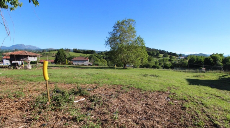 Asturias - La Quintana'l Sol - 1250m2