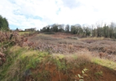 Non-developable land for sale in Pola de Siero ref: TR37393 photo