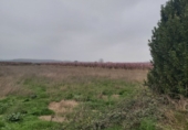 Non-developable land for sale in Puigverd de Lleida ref: TR36521 photo