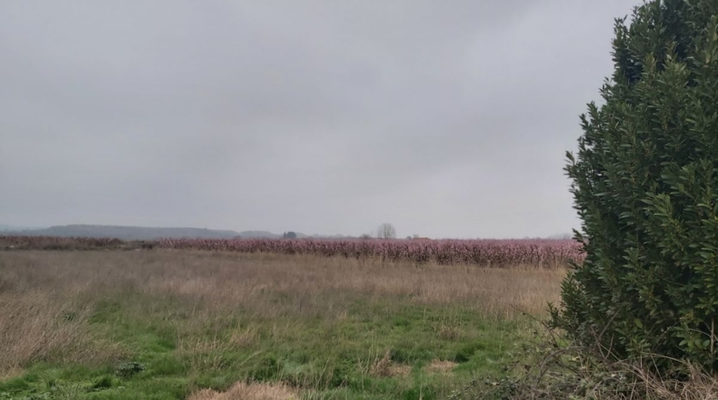 Lérida - Puigverd de Lleida - 6400m2