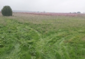 Non-developable land for sale in Puigverd de Lleida ref: TR36521 photo