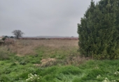 Non-developable land for sale in Puigverd de Lleida ref: TR36521 photo