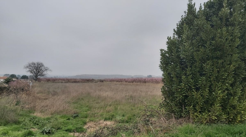 Lérida - Puigverd de Lleida - 6400m2