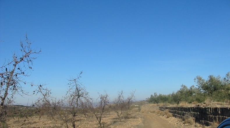 Lérida - Castelldans - 6800m2