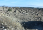 Terreno no urbanizable en venta en Castelldans ref: TR36520 foto