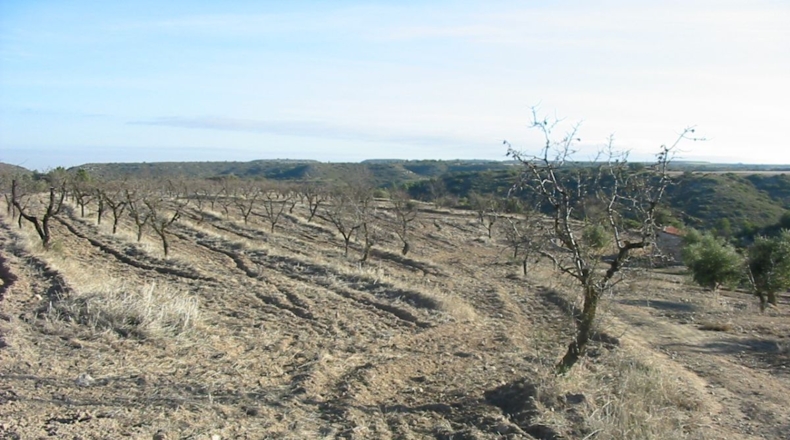 Lérida - Castelldans - 6800m2