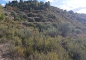 Terreno no urbanizable en venta en l'Albagés ref: TR34334 foto