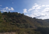 Terreno no urbanizable en venta en l'Albagés ref: TR34334 foto