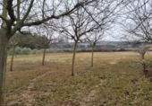 Detached villa with land for sale in Puigverd de Lleida ref: TR38058 photo