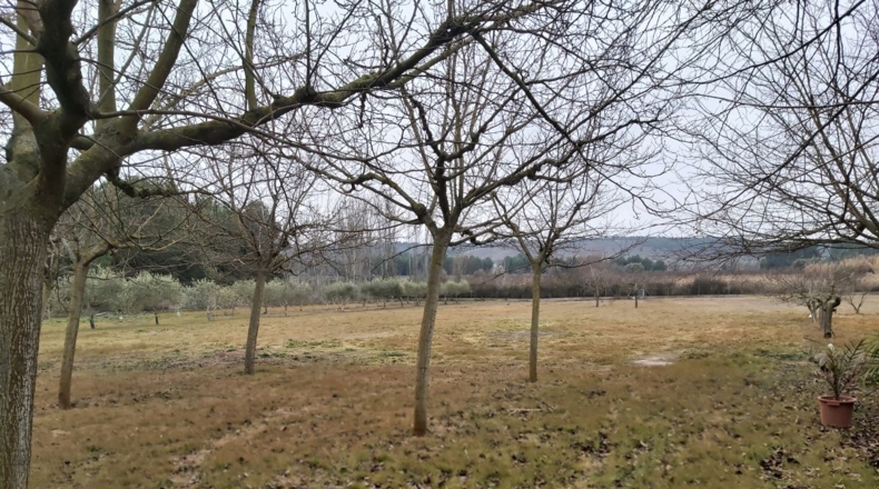 Lérida - Puigverd de Lleida - 5800m2