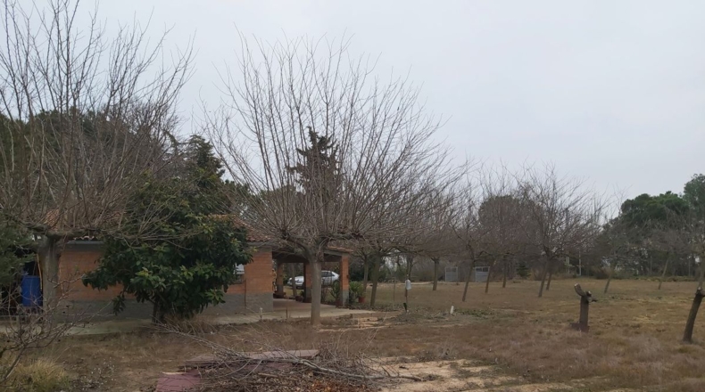 Lérida - Puigverd de Lleida - 5800m2