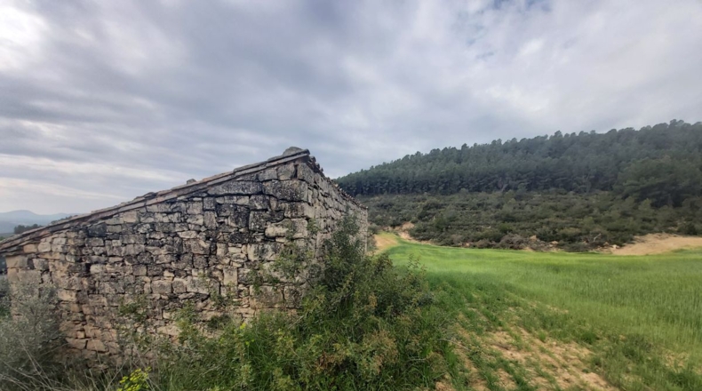 Lérida - Seròs - 120000m2