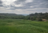 Finca rústica en venda a la España, Seròs, ref.: TR43727 foto