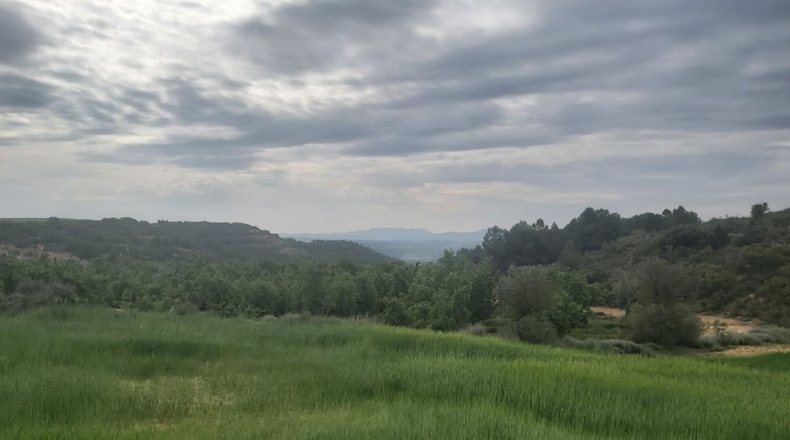 Lérida - Seròs - 120000m2