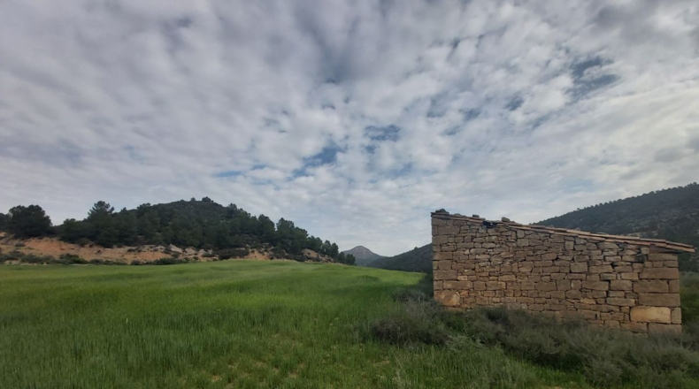 Lérida - Seròs - 120000m2