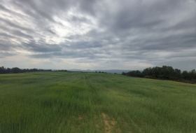 Seròs 120000&nbsp;m²