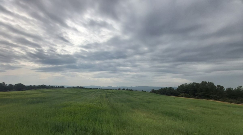 Lérida - Seròs - 120000m2