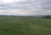 Finca rústica en venda a la España, Seròs, ref.: TR43727 foto