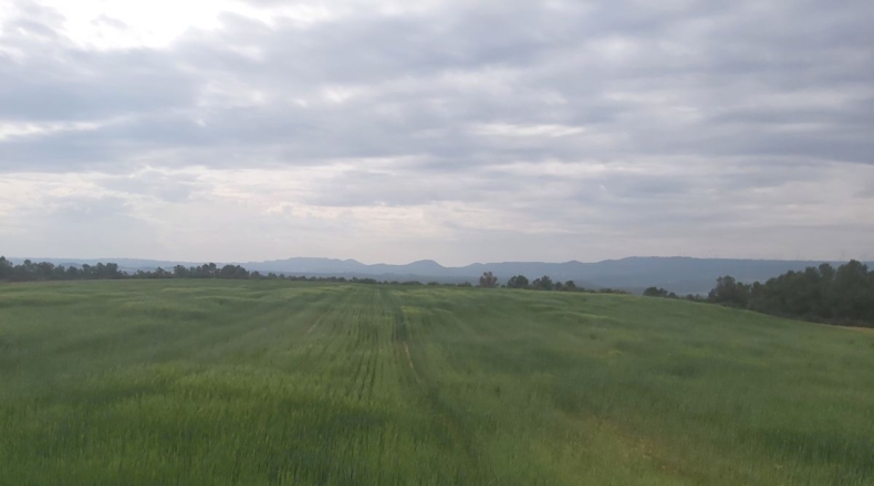 Lérida - Seròs - 120000m2
