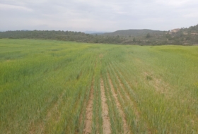 Seròs 120000&nbsp;m²