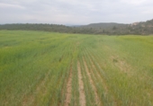Finca rústica en venda a la España, Seròs, ref.: TR43727 foto