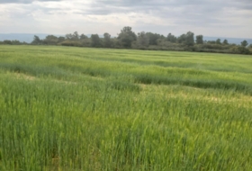 Seròs 120000&nbsp;m²