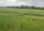 Finca rústica en venda a la España, Seròs, ref.: TR43727 foto