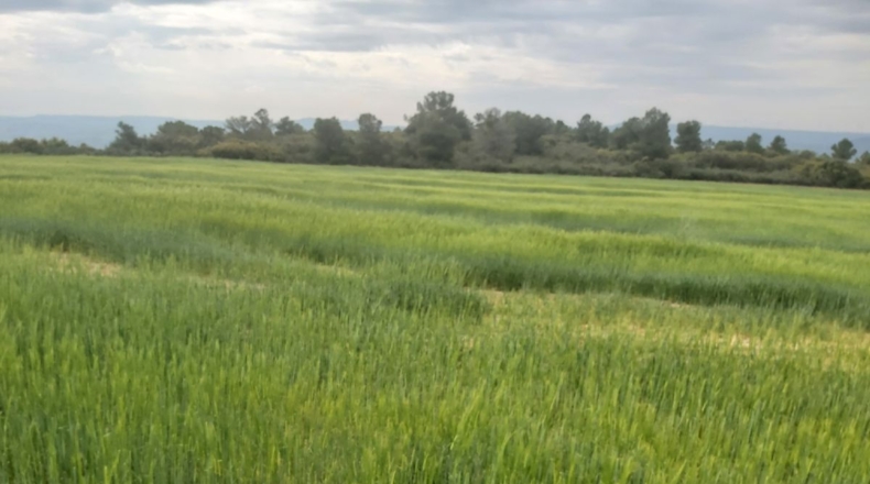 Lérida - Seròs - 120000m2