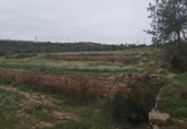Rural estate for sale in Maials ref: TR43725 photo