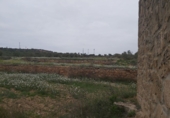 Rural estate for sale in Maials ref: TR43725 photo