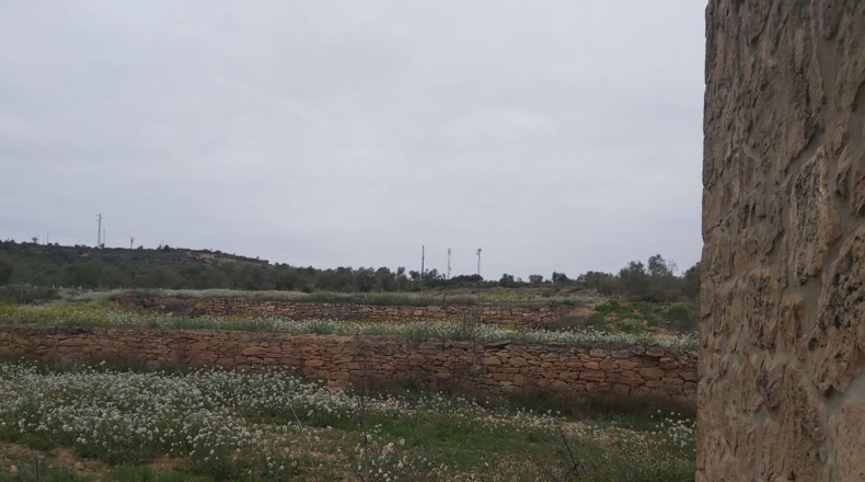 Lérida - Maials - 11000m2