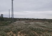 Rural estate for sale in Maials ref: TR43725 photo