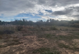 Castelldans 8000&nbsp;m²