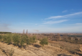 Castelldans 14200&nbsp;m²