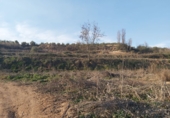 Terreno no urbanizable en venta en la España, Castelldans, ref: TR72353 foto