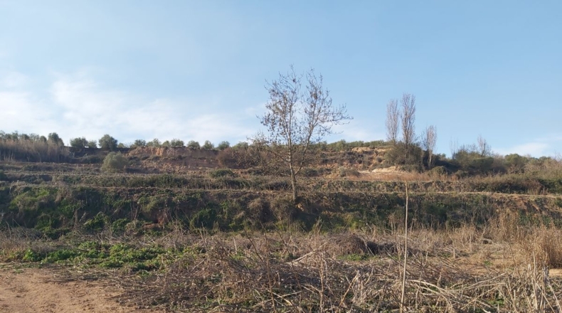 Lérida - Castelldans - 14200m2