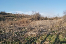 Castelldans 14200&nbsp;m²