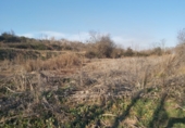 Terreno no urbanizable en venta en la España, Castelldans, ref: TR72353 foto