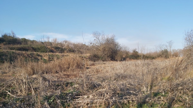 Lérida - Castelldans - 14200m2